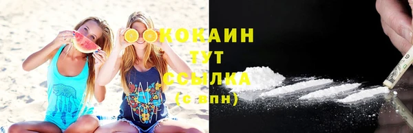 тгк Алзамай